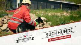 slide picture of Suchhunde