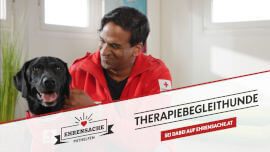 slide picture of Therapiebegleithunde